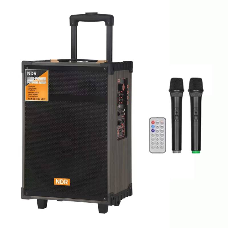 HAUT PARLEUR DOUBLE MODE NDR NDB-C12 AVEC TELECOMMANDE ET 2 MICROS - NOIR
